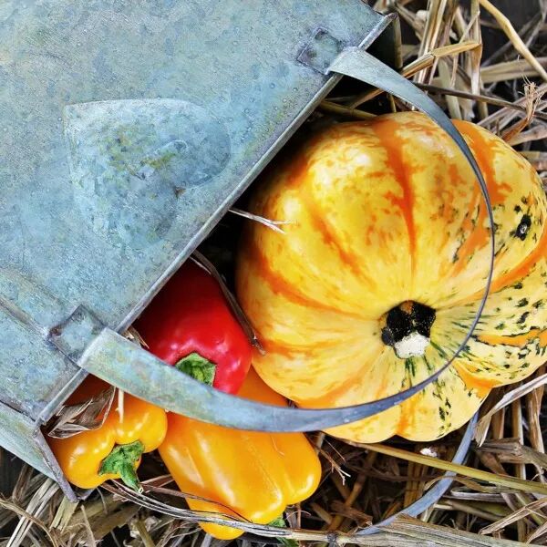 Panier de la semaine