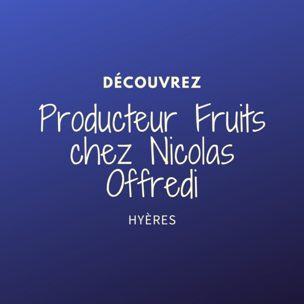 Producteur Fruits chez Nicolas Offredi