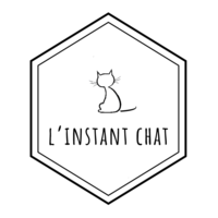 25. L'Instant chat